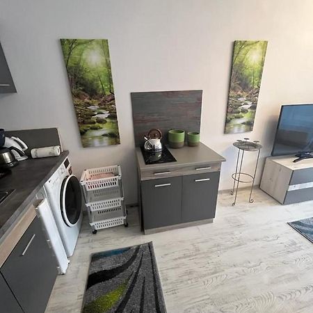 Apartament Acasa Sf.Gheorghe Sfântu-Gheorghe Kültér fotó